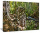 "Huge Rock in Black River Shore" Landscape Wall Art Wall Art, 40"x30"