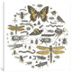 "Insect Circle II" by Wild Apple Portfolio, 26x26x1.5