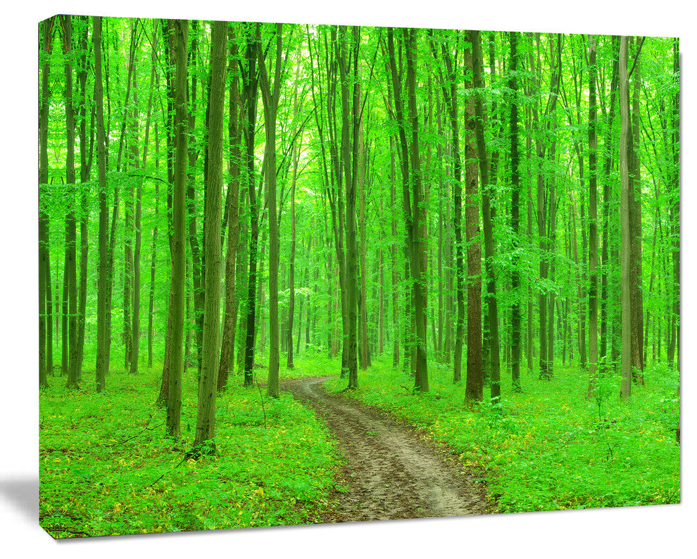 Pathway in Bright Green Forest, Modern Forest Canvas Art, 20"x12"