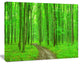 Pathway in Bright Green Forest, Modern Forest Canvas Art, 20"x12"