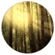 Dense Green Sunny Forest, Landscape Round Metal Wall Art, 36"