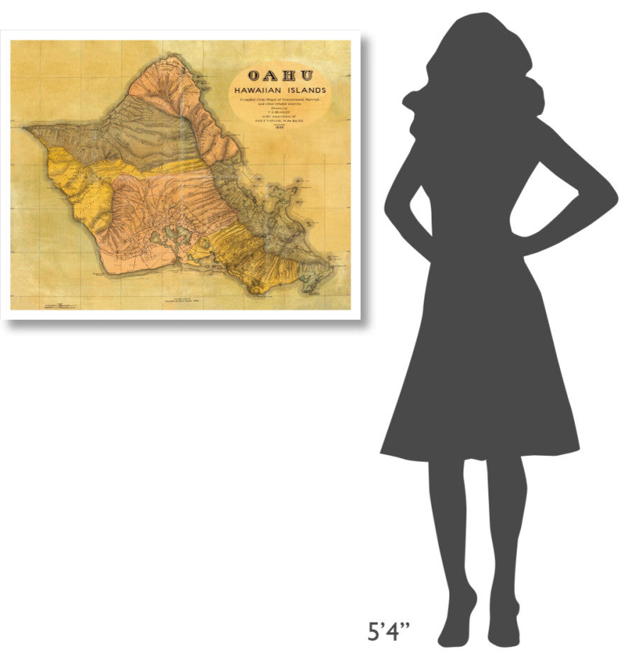 "Oahu, Hawaiian Islands, 1899" Digital Paper Print by T.D. Beasley, 38"x31"
