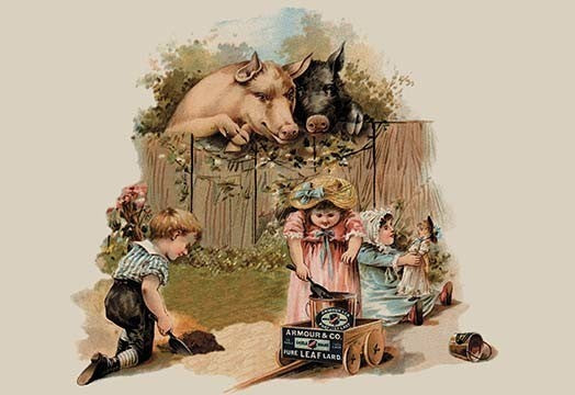 Curious Pigs - Canvas Poster 20" x 30"
