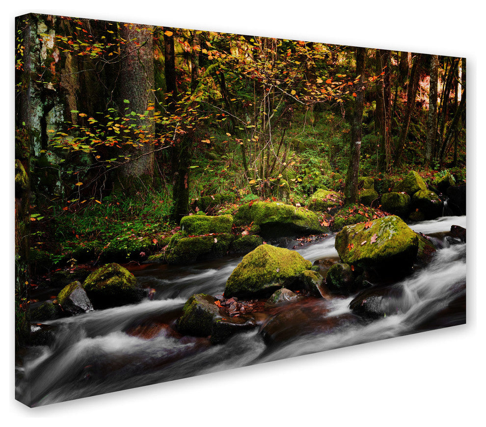 ''Eaux Vives in Gerardmer'' Canvas Art by Philippe Sainte-Laudy