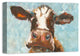 Curious Cow 1 Canvas Wall Art, 16"x24", Unframed