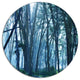 Dense Rain Forest On Foggy Day, Landscape Round Wall Art, 23"