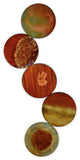 Earth Circles 3 Wall Art