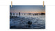 Low Tide At Battery Landscape Photo, Beach Unframed Wall Art Print, 12" X 18"