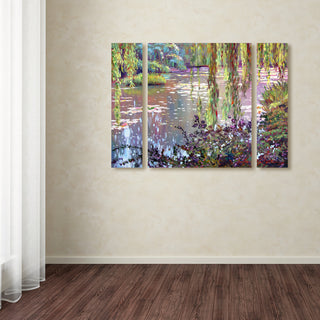 "Homage to Monet" Multi-Panel Canvas Art Set by David Lloyd Glover