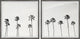 Enjoy Your Time Diptych, 2-Piece Set, 24x24 Panels