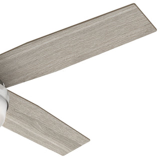 Hunter 52" Dempsey Brushed Nickel Ceiling Fan, LED Light Kit and Remote