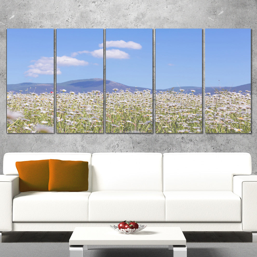 Chamomiles with Hills on Background, Flower Canvas Print, 60"x28", 5 Panels