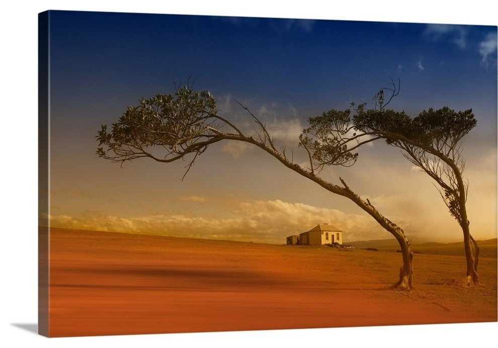 "Maria Island Dream" Wrapped Canvas Art Print, 24"x16"x1.5"
