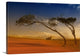 "Maria Island Dream" Wrapped Canvas Art Print, 24"x16"x1.5"