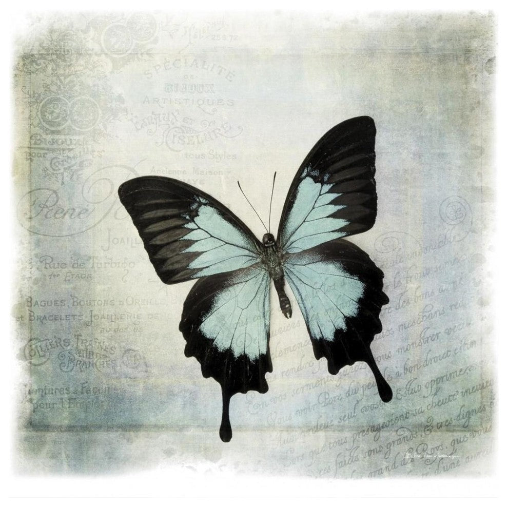 "Floating Butterfly III" Digital Paper Print by Debra Van Swearingen, 20"x20"