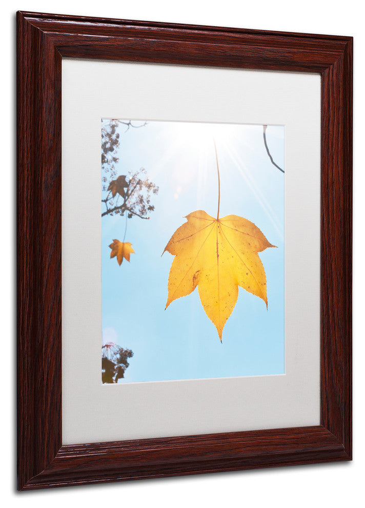 'Autumn Leaf in the Sun' Matted Framed Canvas Art by Kurt Shaffer