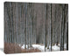 Winter Forest with Thick Trees, Forest Canvas Art Print, 40"x30"