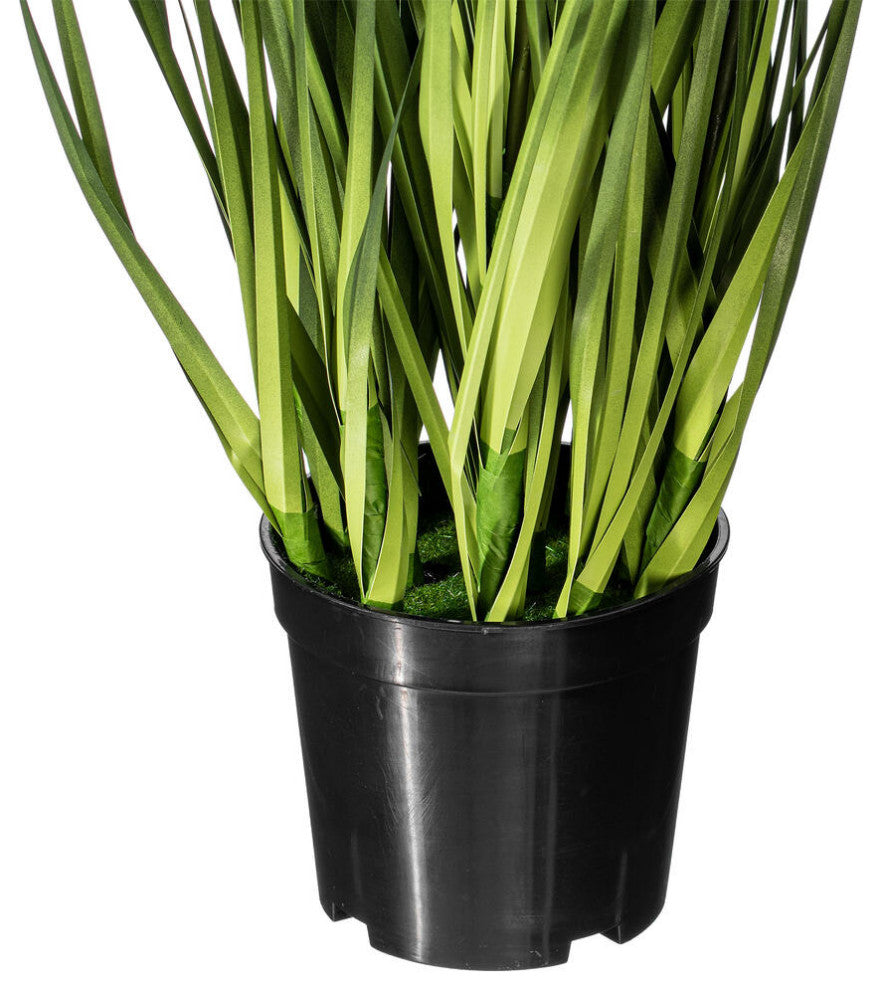 24" Green Sheep'S Grass In Pot