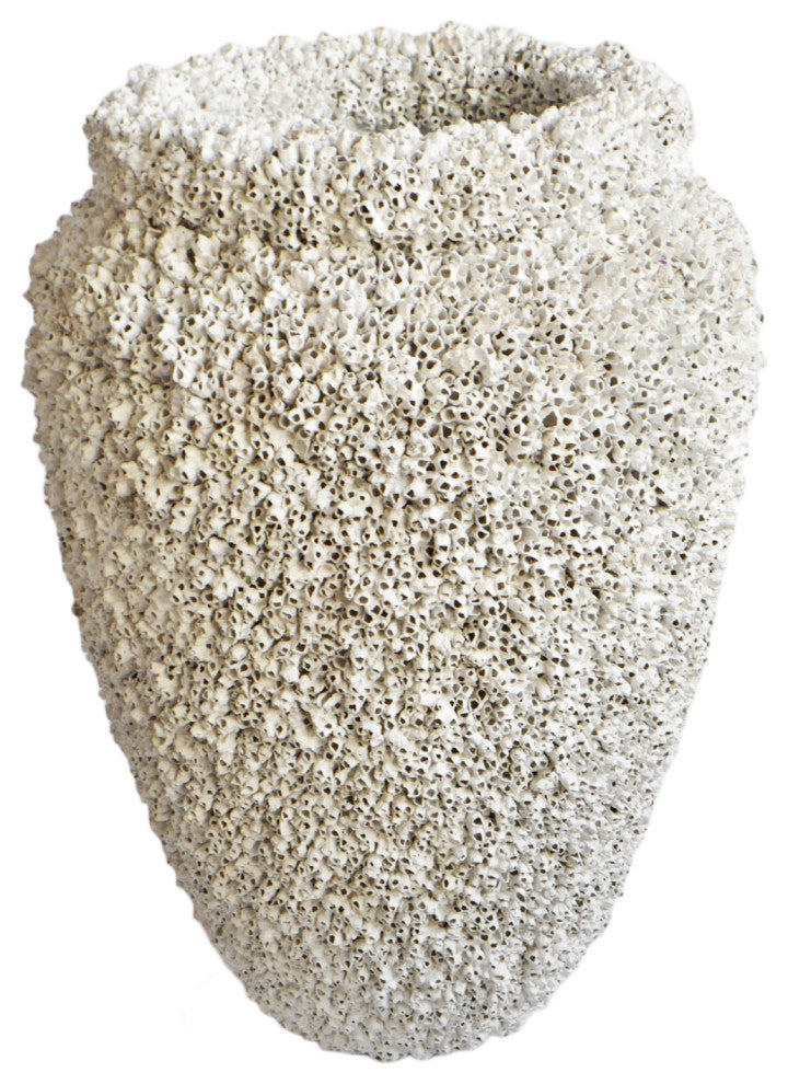 Large White Barnacle Shell Urn