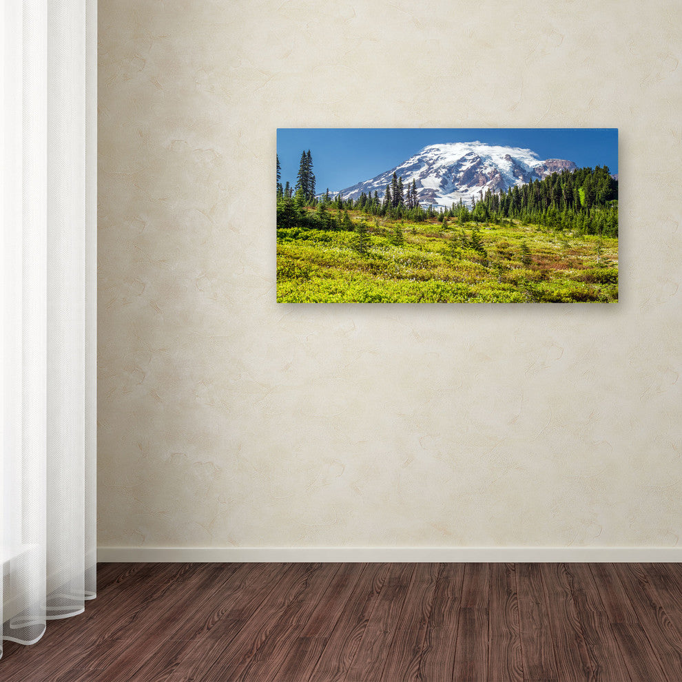''Mount Rainier Meadow'' Canvas Art by Pierre Leclerc