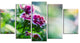 Pink Flowers on Green Background, Floral Canvas Art Print, 60"x32", 5 Panels