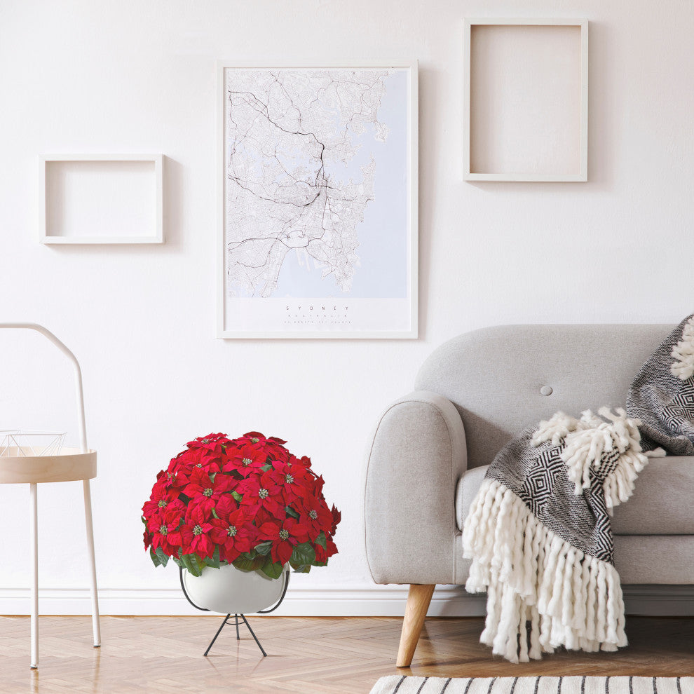 33" Grand Poinsettia Artificial Arrangement, White Vase With Metal Stand