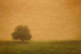 "Silent and Still" Painting Print on Canvas