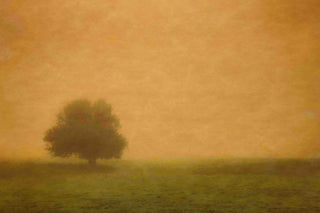 "Silent and Still" Painting Print on Canvas