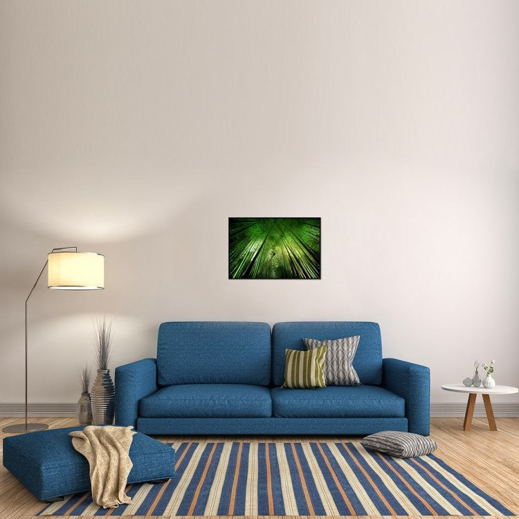 "Bamboo Night" Framed Canvas Giclee by Takeshi Marumoto, 31x21"