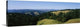 "Trees on a landscape, Mt Tamalpais, Marin County, California" Canvas Art, 60...