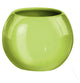 Porcelain Bathroom Accessories, Power, Maygreen, Tumbler