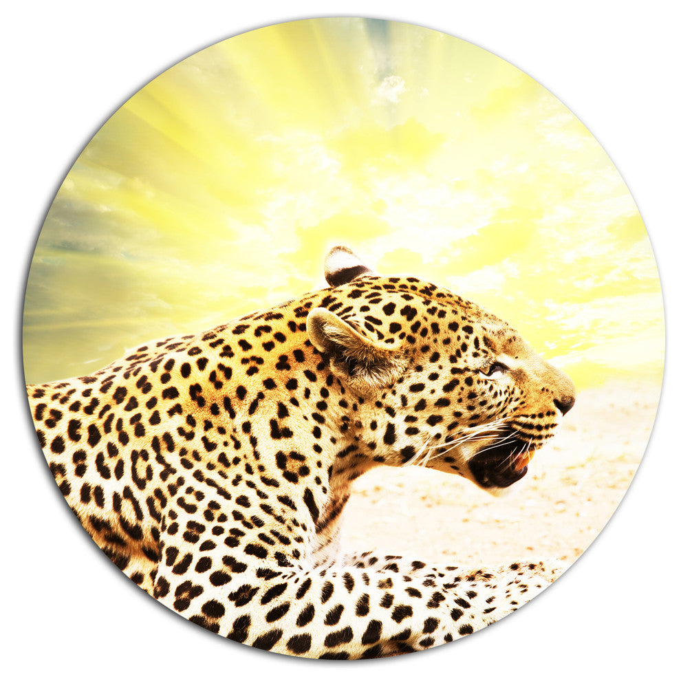 Ferocious Leopard At Sunrise, Animal Round Metal Wall Art, 36"