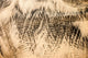 Sandprints Designer Series No.24, 12"x8"