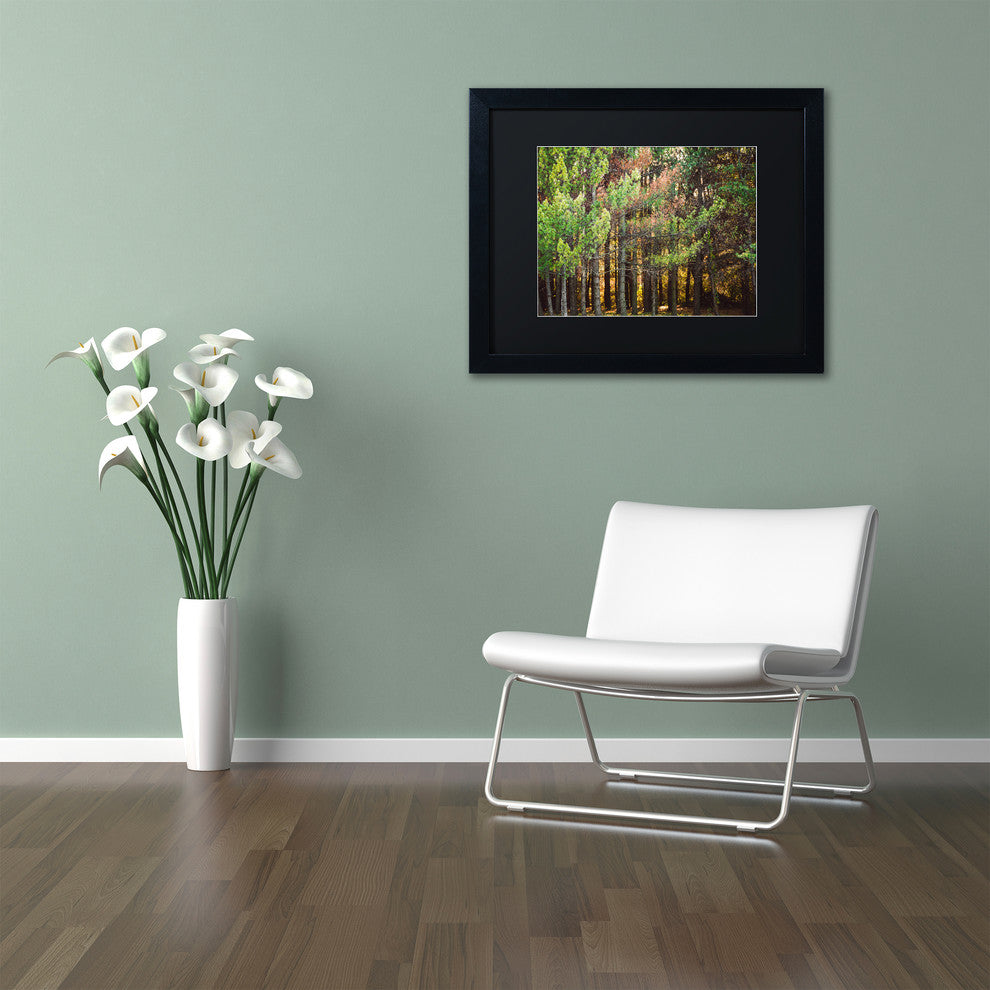 Jason Shaffer 'Summer Tree Line', Black Frame, Black Mat, 14x11