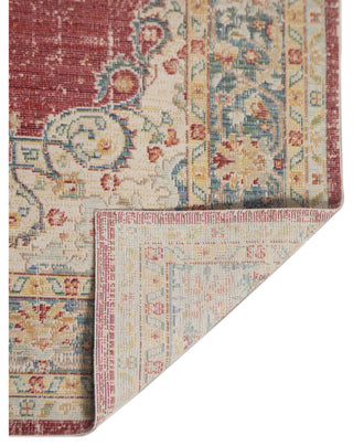 Ceniscia Haven Vintage Polyester Area Rug, Red, 2'6"x8'