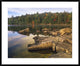 "Eagle Lake, Acadia National Park, Maine"  by Tim Fitzharris, 40x32"