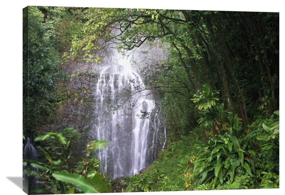 "Waterfall Along Hana Coast, Maui, Hawaii" Artwork, 40" x 30"