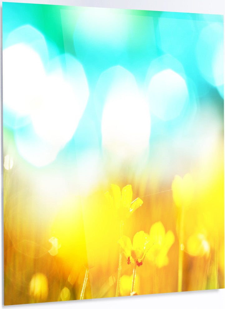 Yellow Flowers on Blue Background, LED Metal Art, 40x48, 1 Panel