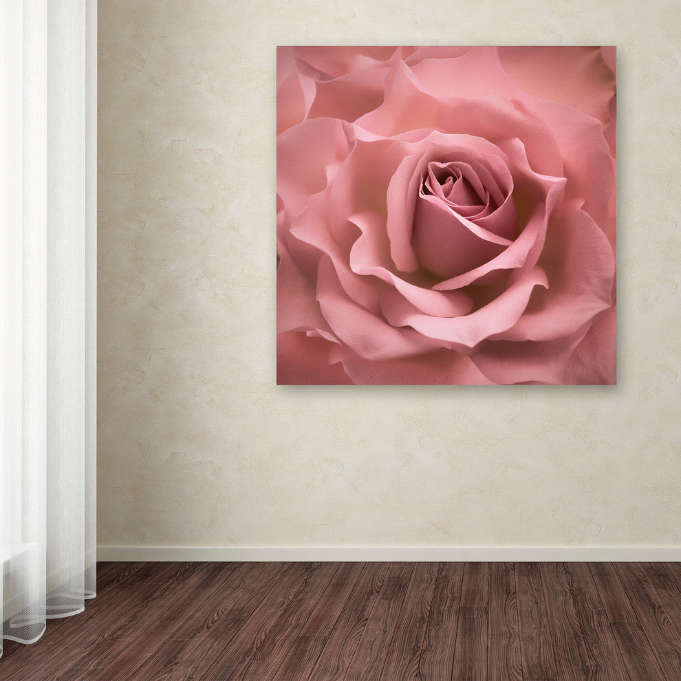 Cora Niele 'Misty Rose Pink Rose' Canvas Art