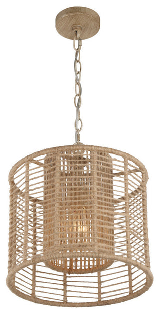 Jayna One Light Pendant in Burnished Silver