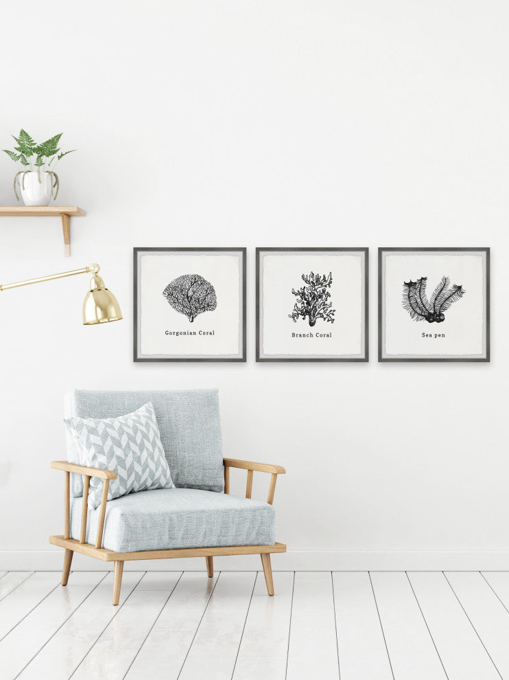 Sea Pen Triptych, 3-Piece Set, 12x12 Panels