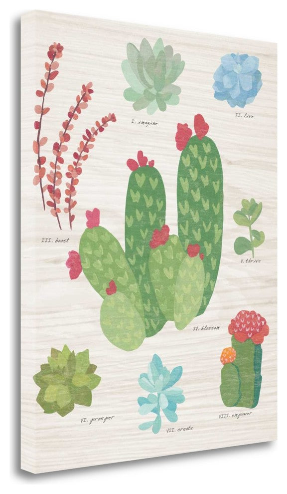 "Succulent Chart IV On Wood" By Wild Apple Portfolio, Gallery Wrap Canvas