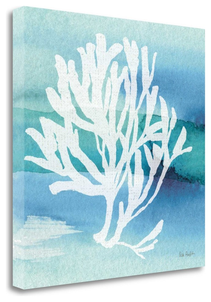 "Sea Life Coral I" By Lisa Audit, Giclee Print on Gallery Wrap Canvas