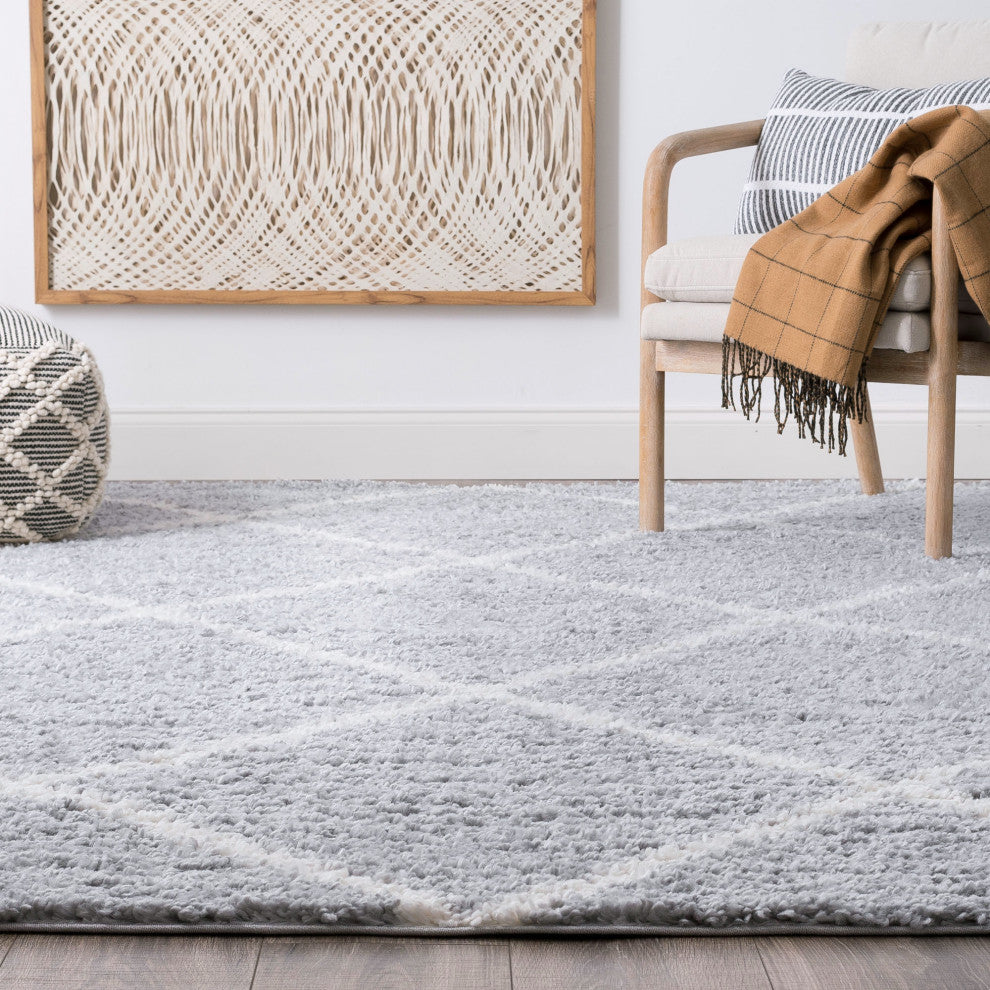 Derry Transitional Diamond White Rectangle Area Rug, 4'x5'