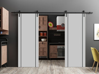 Sturdy Double Barn Door 60 x 80 with | Planum 0016 Grey Matte with  | 13FT