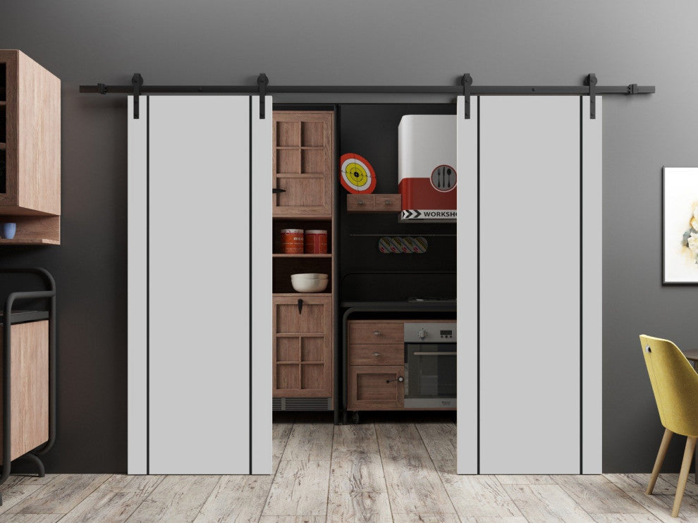 Sturdy Double Barn Door 60 x 80 with | Planum 0016 Grey Matte with  | 13FT