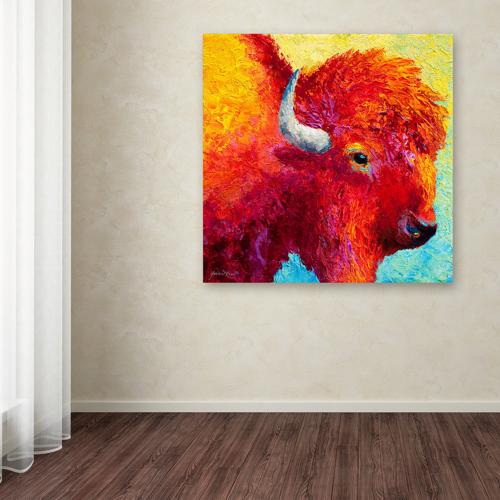 Marion Rose 'Bison Head IV' Canvas Art, 35" x 35"