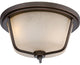 Nuvo 2-Light LED Tolland Outdoor Light Fixture, Mahogany Bronze