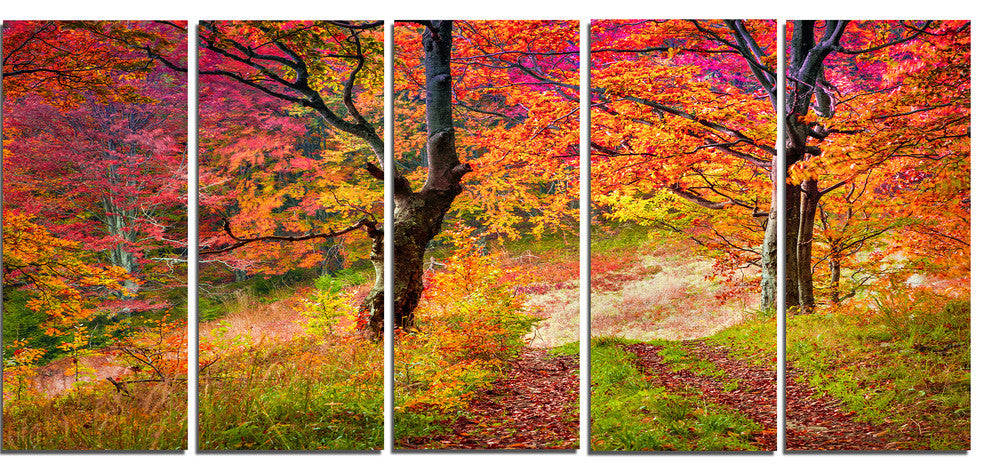 Bright Colorful Fall Trees in Forest, Landscape Canvas Print, 60"x28", 5 Panels