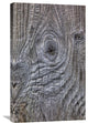 "Wind Eroded Wood, Deception Island, South Shetland Islands, Antarctica" Artwork